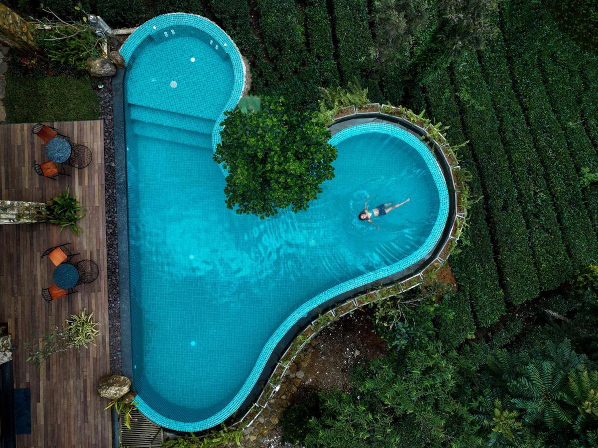 Tea & Tranquility By Moksha Stays Vagamon Extérieur photo